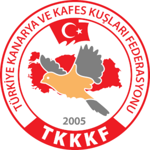 2022-2023 sezonu Yarışma Tarihleri