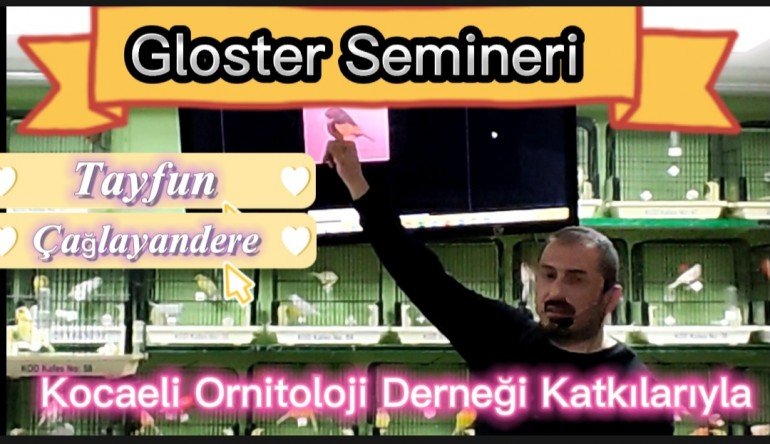 Gloster seminerini için Tayfun Çağlayandere geldi