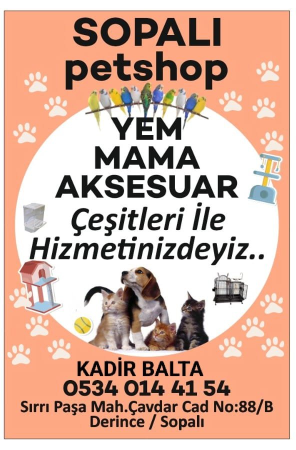 Sopalı petshop